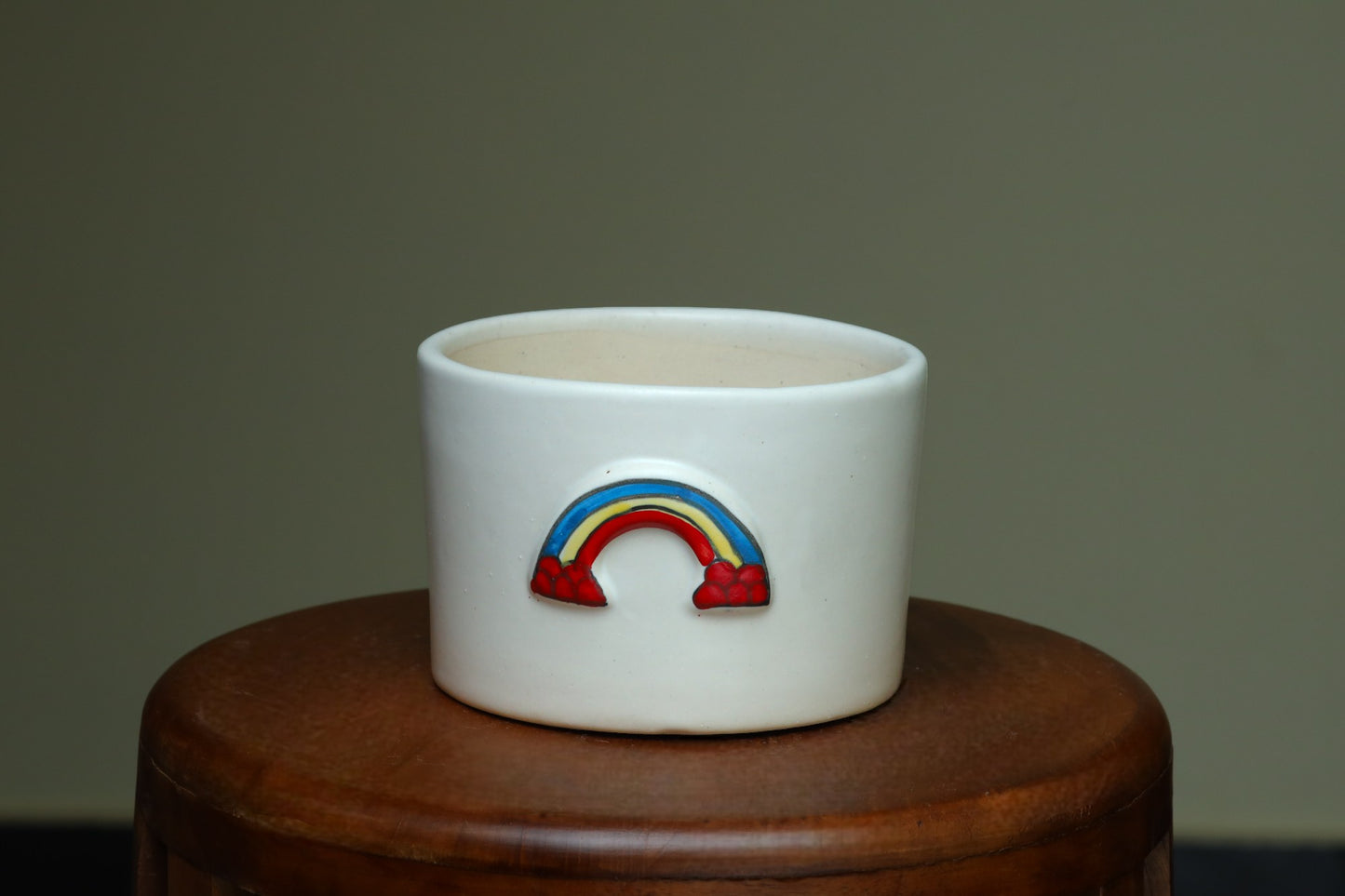 Rainbow Flower Pot White