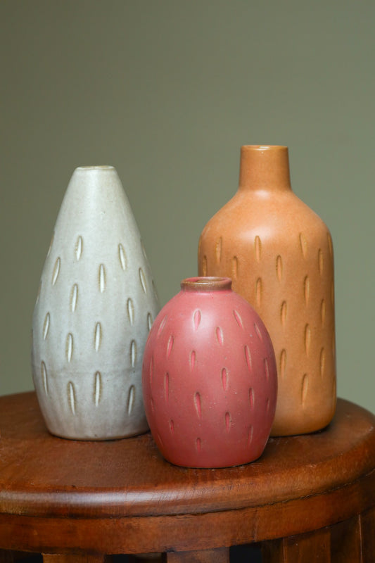 Vibrant Vase - Set of 3